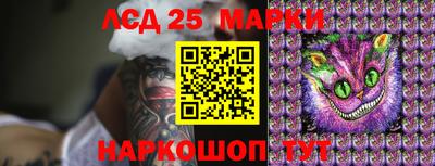 прущие грибы Новокубанск