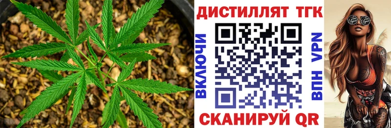 купить   Солнечногорск  кракен ТОР  Дистиллят ТГК THC oil 