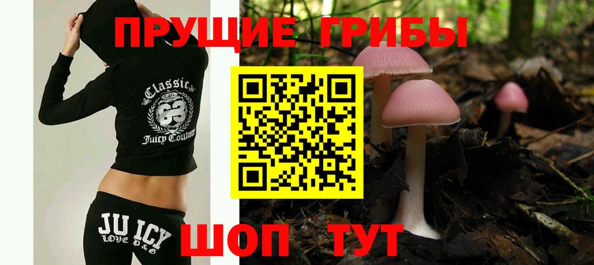 Псилоцибиновые грибы мицелий Солнечногорск